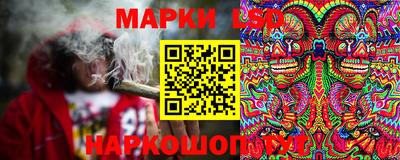 стафф Славгород
