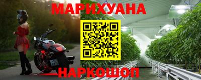 стафф Славгород